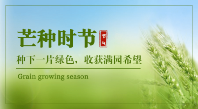 芒种节气祝福问候横版海报