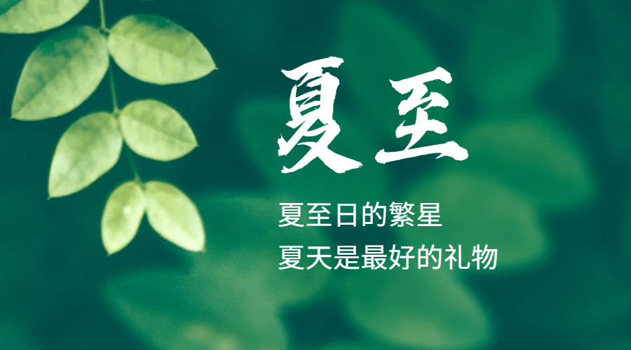 夏至节气祝福实景绿植夏天横版海报预览效果