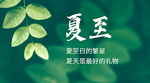 夏至节气祝福实景绿植夏天横版海报