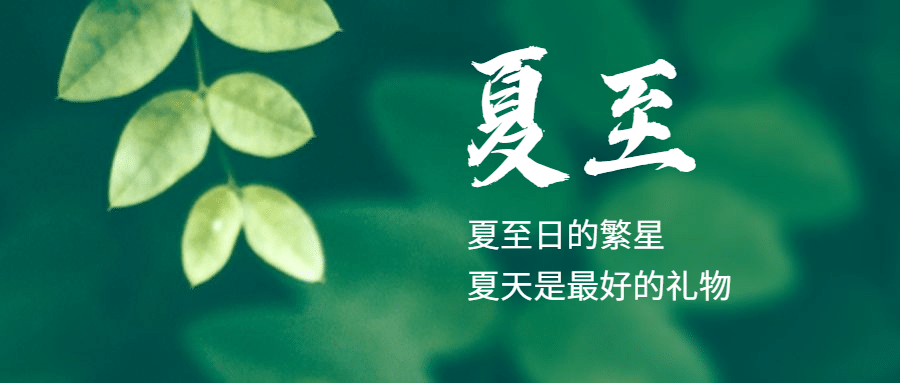 夏至节气祝福绿植夏天公众号首图预览效果
