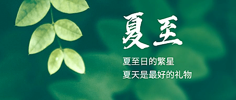 夏至节气祝福绿植夏天公众号首图