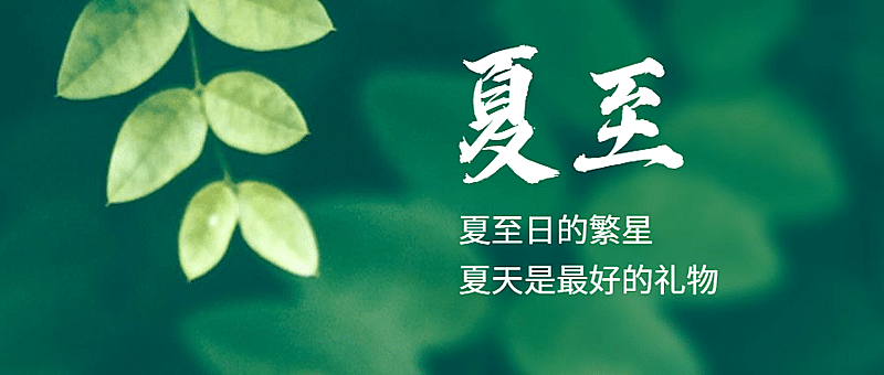 夏至节气祝福绿植夏天公众号首图