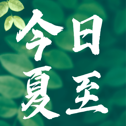 夏至节气祝福绿植夏天公众号次图预览效果