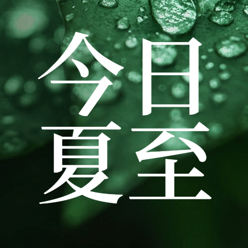 夏至节气绿植祝福问候公众号次图预览效果