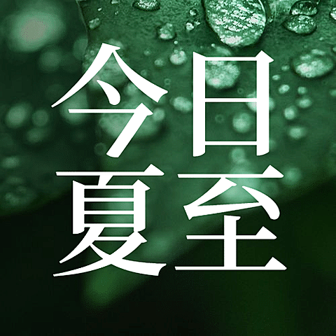 夏至节气绿植祝福问候公众号次图