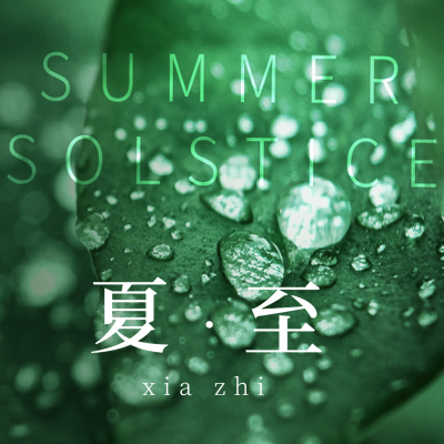 夏至节气绿植祝福问候方形海报