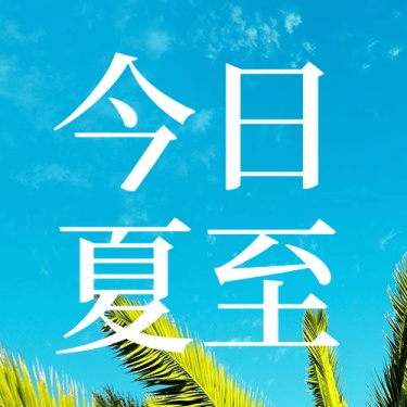 夏至节气绿植祝福问候公众号次图