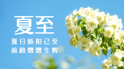 夏至节气祝福实景夏天横版海报