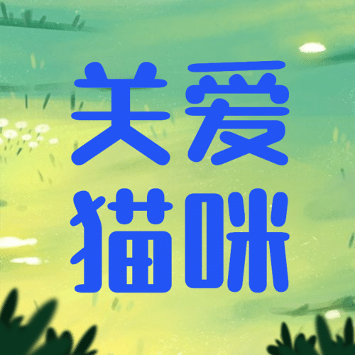 国际猫咪日关爱动物公益宣传手绘公众号次图预览效果