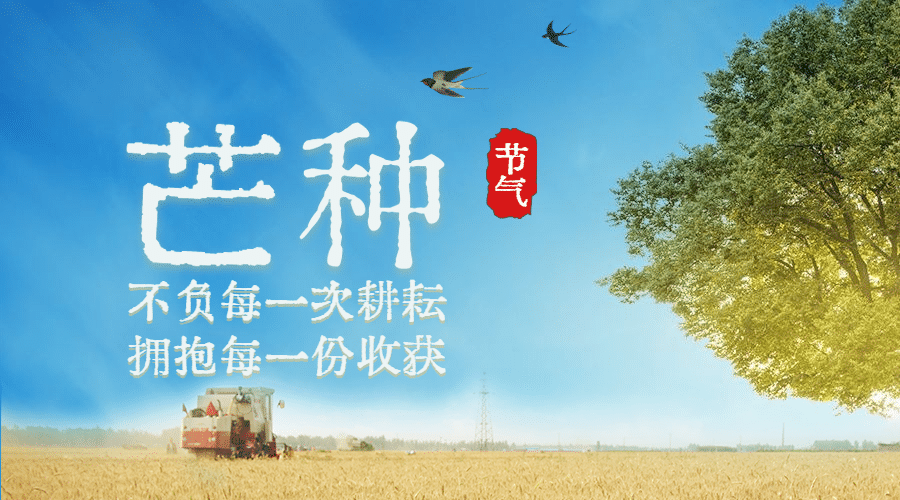 芒种节气祝福麦穗横版海报预览效果