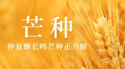 芒种节气祝福问候麦穗横版海报
