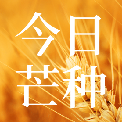 芒种节气祝福问候麦穗公众号次图