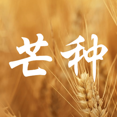芒种节气祝福问候麦穗公众号次图