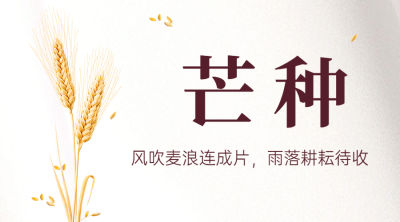 芒种节气祝福问候实景横版海报
