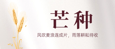芒种节气祝福问候实景公众号首图