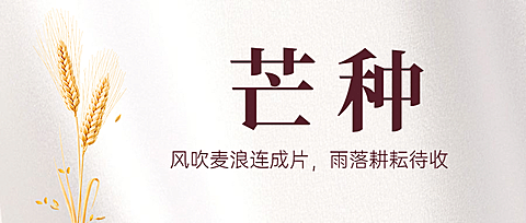 芒种节气祝福问候实景公众号首图