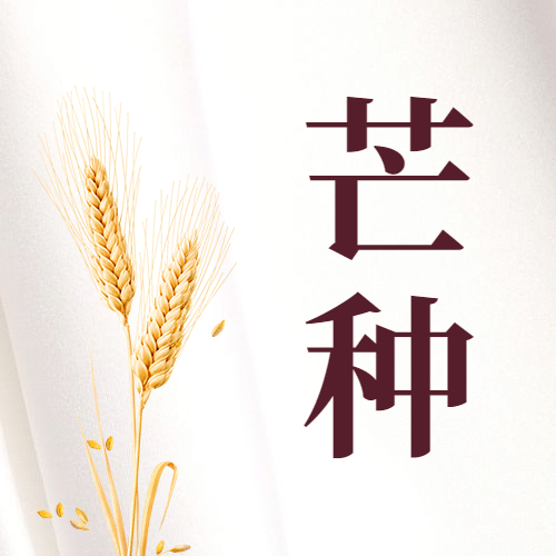 芒种节气祝福问候实景公众号次图预览效果
