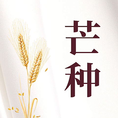 芒种节气祝福问候实景公众号次图