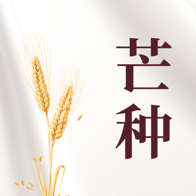芒种节气祝福问候实景方形海报