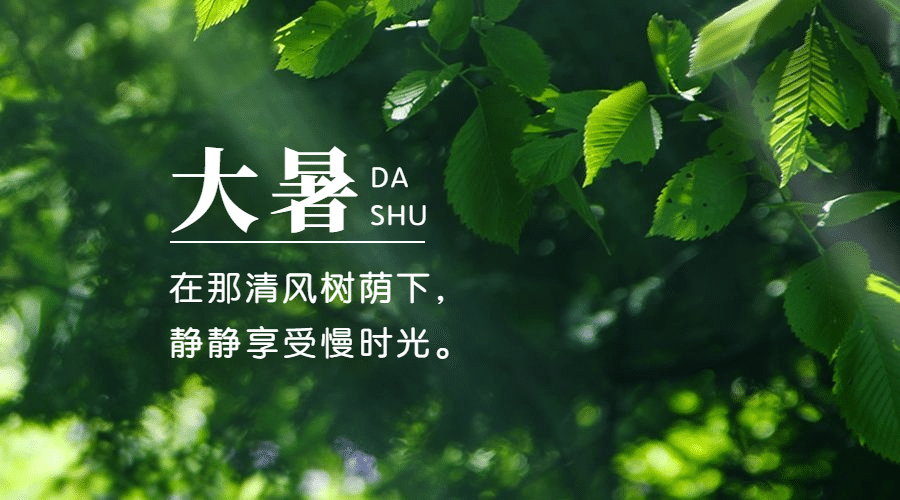 大暑节气祝福实景夏天横版海报预览效果