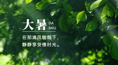 大暑节气祝福实景夏天横版海报