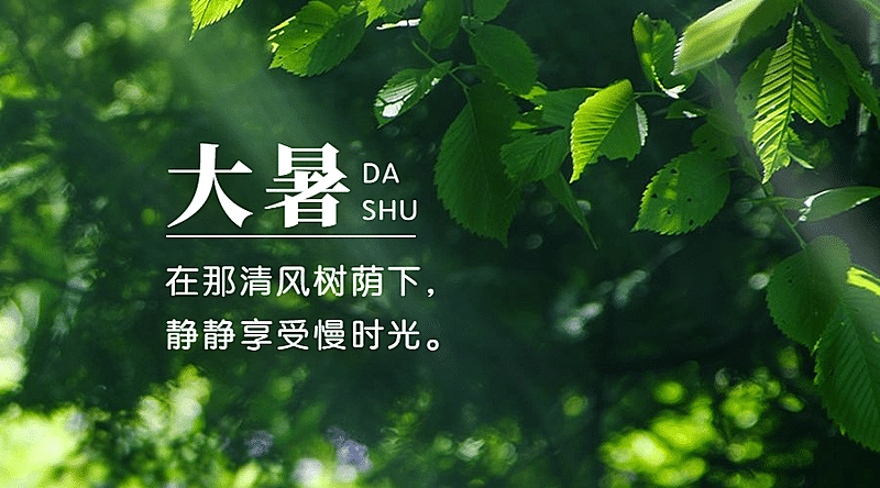 大暑节气祝福实景夏天横版海报