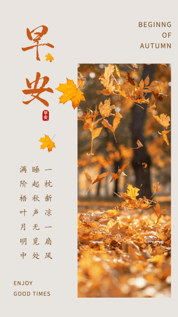简约实景早安问候预览效果