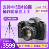 模板缩略图