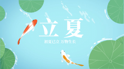 立夏节气祝福夏天荷叶广告banner