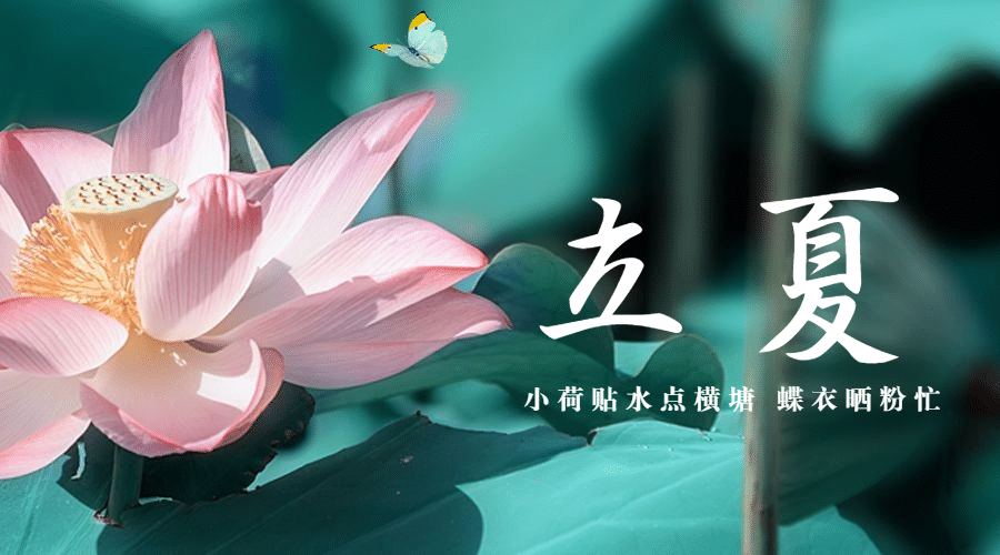 立夏节气祝福问候莲花广告banner预览效果