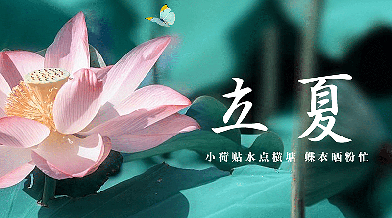 立夏节气祝福问候莲花广告banner
