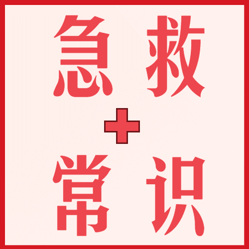 世界红十字日急救指南文艺简约公众号次图预览效果