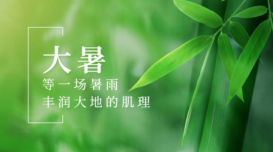 大暑节气祝福实景夏天横版海报预览效果