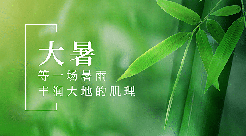 大暑节气祝福实景夏天横版海报