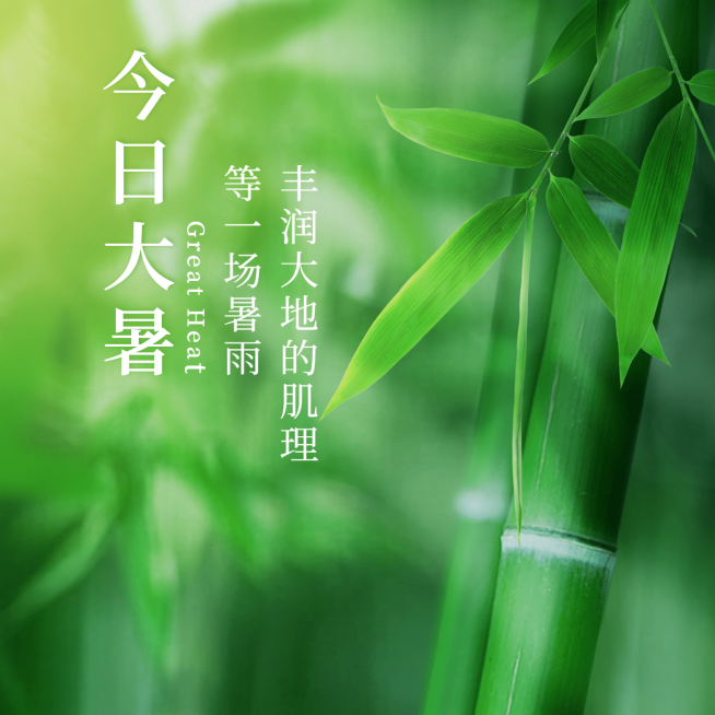 大暑节气问候祝福方形海报预览效果