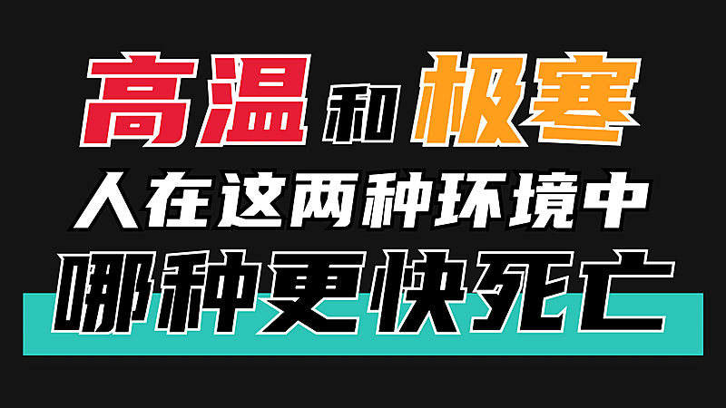 简约文字排版大字标题横版视频封面