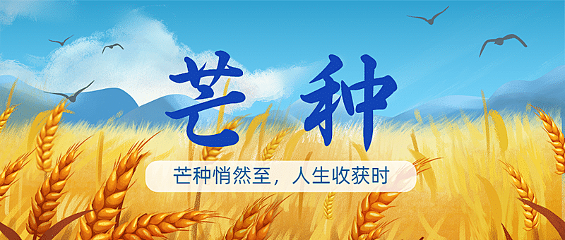芒种节气祝福农耕丰收公众号首图