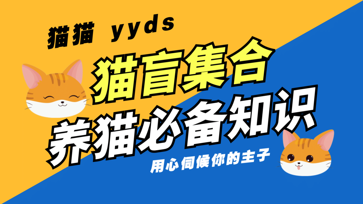 简约文字排版大字标题横版视频封面预览效果