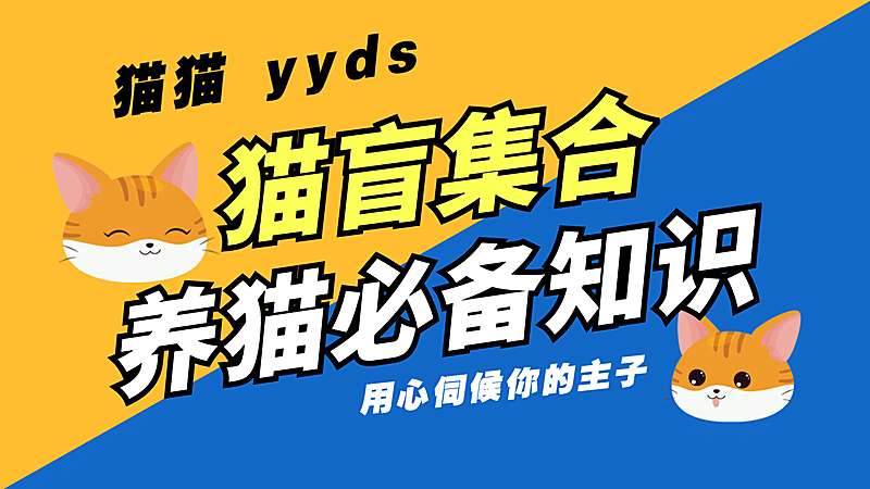 简约文字排版大字标题横版视频封面