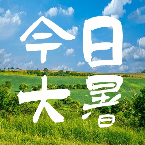 大暑节气祝福夏天实景公众号次图预览效果