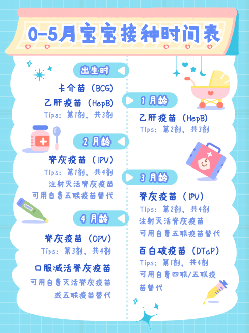 早幼教家庭育儿知识科普小红书配图预览效果
