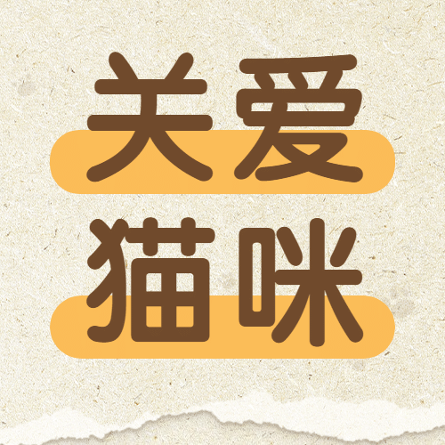 国际猫咪日关爱动物公益宣传撕纸公众号次图预览效果