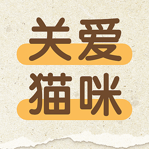 国际猫咪日关爱动物公益宣传撕纸公众号次图