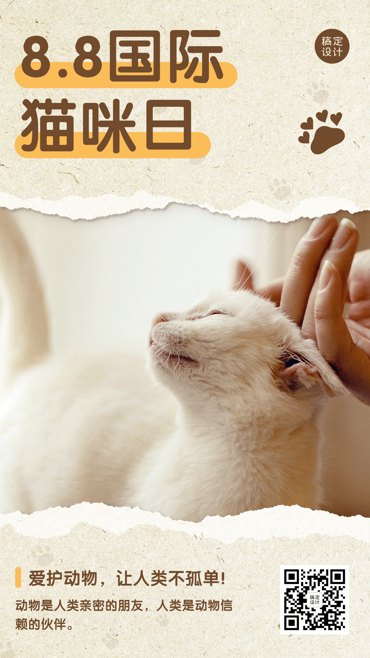 国际猫咪日关爱动物公益宣传实景手机海报
