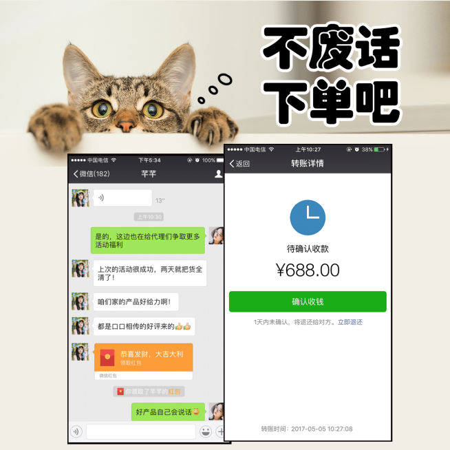 简约猫咪萌宠晒单晒反馈预览效果