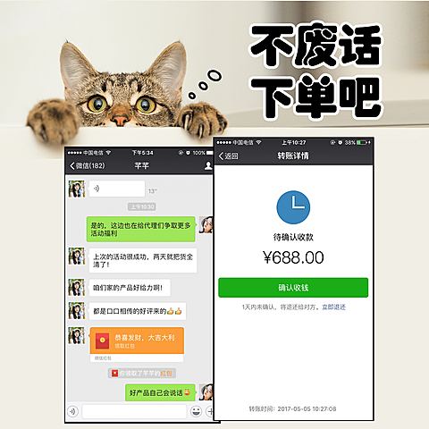 简约猫咪萌宠晒单晒反馈