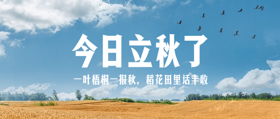 立秋节气祝福问候实景公众号首图预览效果