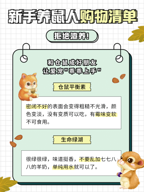 宠物萌宠可爱仓鼠小红书封面配图预览效果