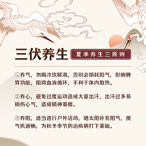实用百科冬季养生方形海报