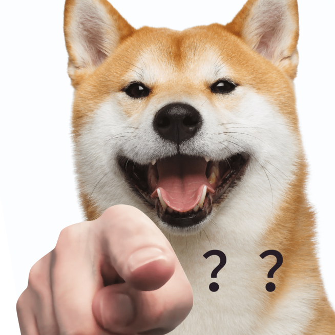 手指趣味恶搞表情包预览效果